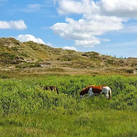 Oasis In Houstrup Nature *