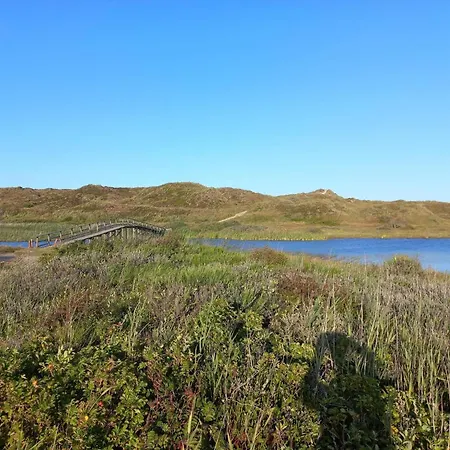 Oasis In Houstrup Nature *